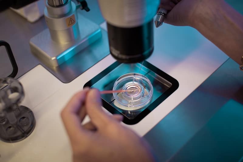 Annual storage of eggs | Sperm Freezing | Freezing Eggs